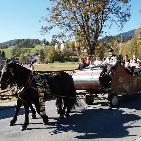 Daire Biobergbauernhof Bergzeit In Goldegg