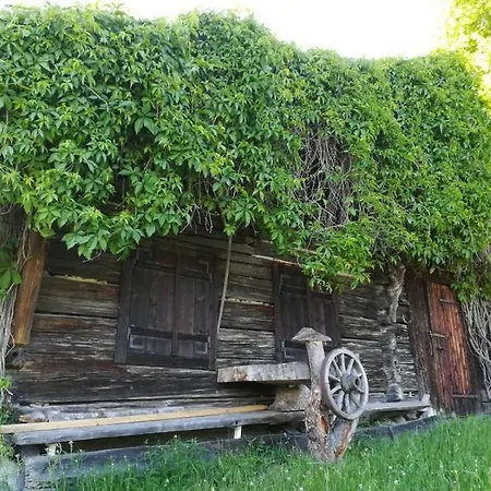 Apartment Biobergbauernhof Bergzeit In Goldegg