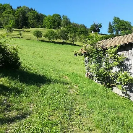 Biobergbauernhof Bergzeit In * Goldegg