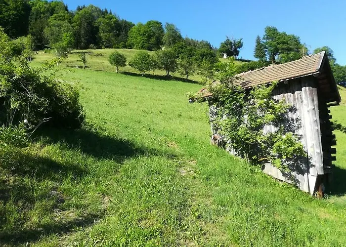 Biobergbauernhof Bergzeit In * ゴールデック